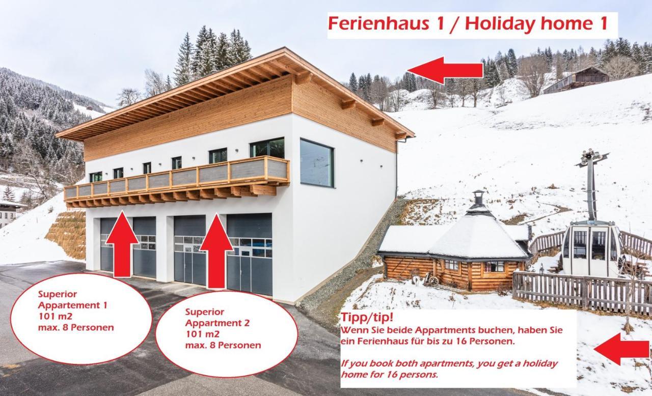 Appartements Moser Viehhofen Zewnętrze zdjęcie