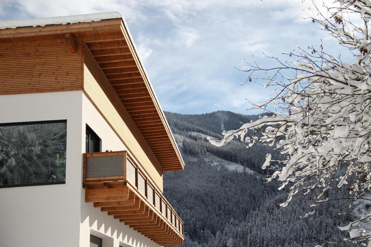 Appartements Moser Viehhofen Zewnętrze zdjęcie